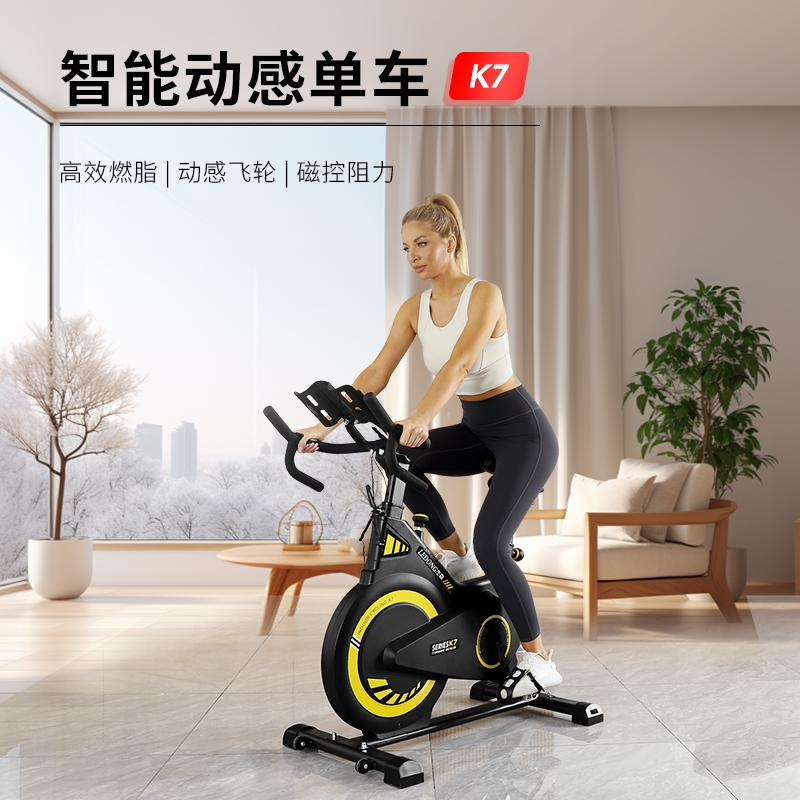 JASON（LEDONG）K7 Home Spinning Bike